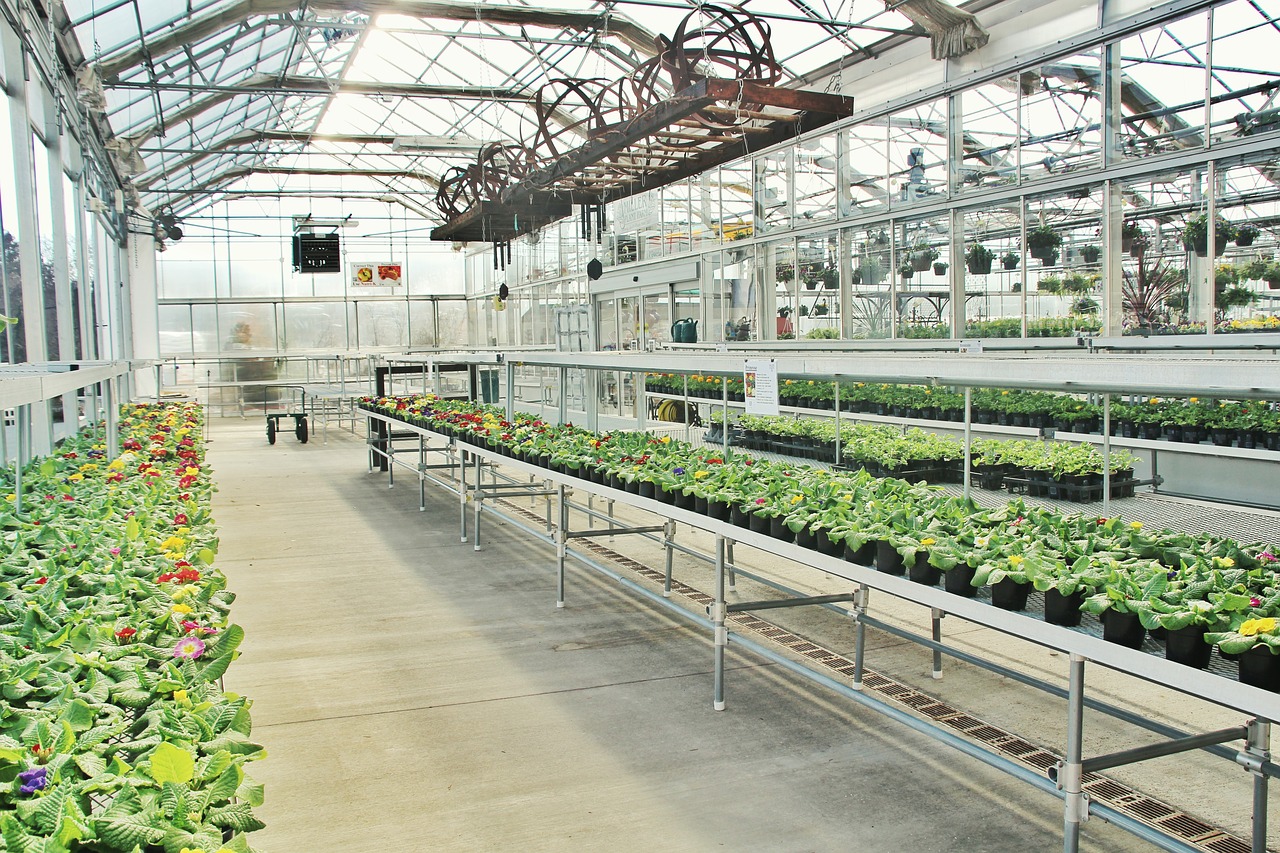 7 Things You Should Know About How Greenhouses Work