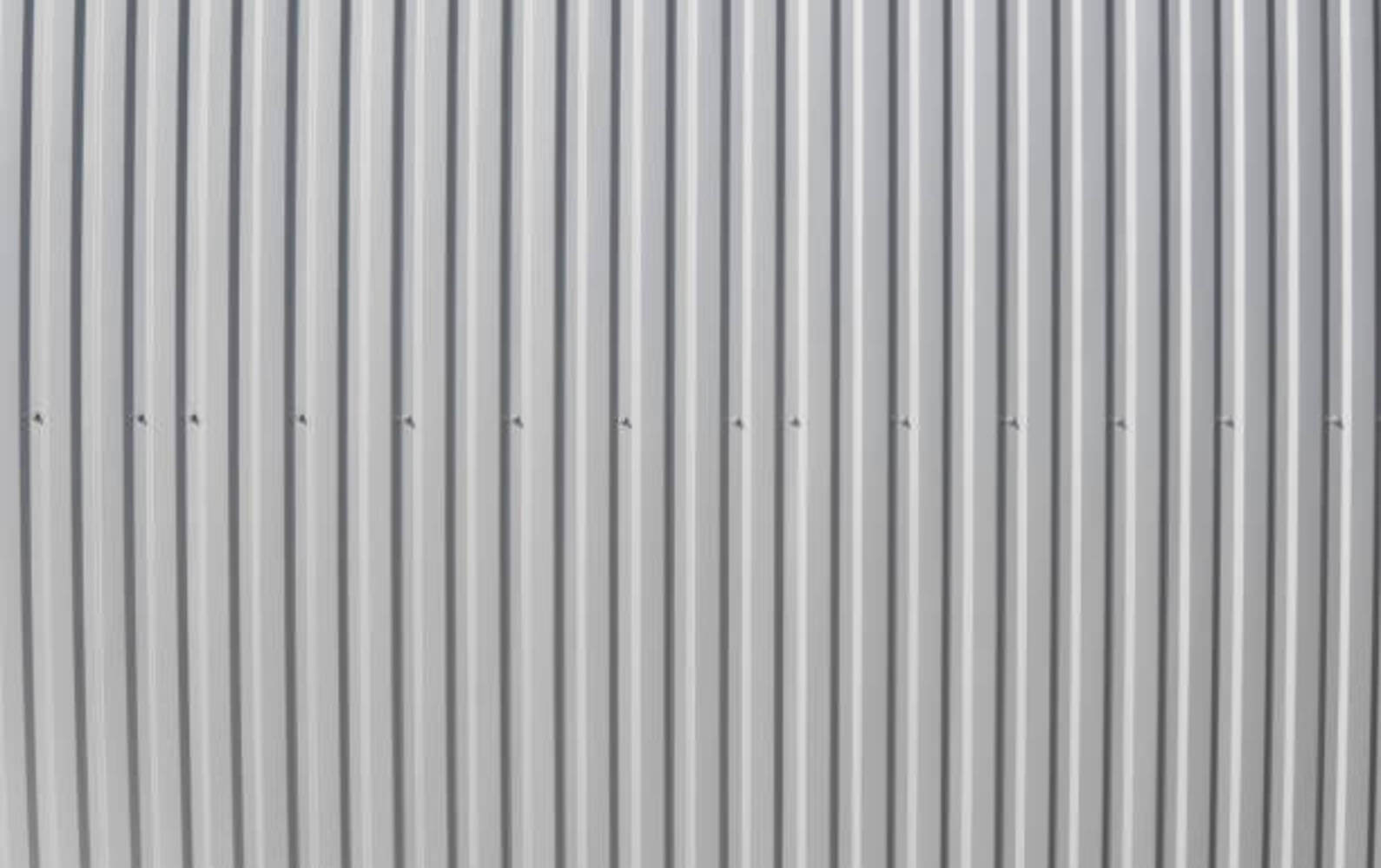 Newfane Greenhouse & Succulents Easy Indoor House Plants